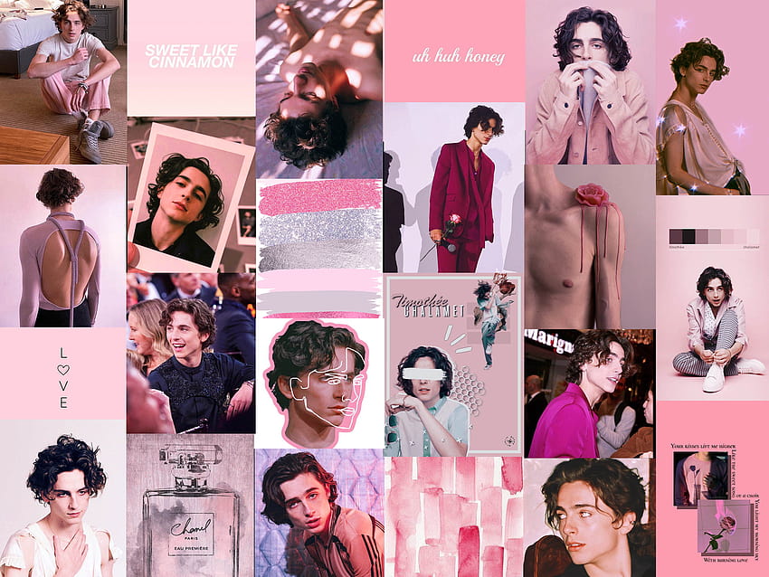 52 piezas Timothée Chalamet Pink DIGITAL Wall Collage Kit, timothee chalamet collage fondo de pantalla