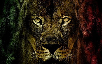 Beautiful Bob Marley Lion Wallpaper narnia quotes aslan quotesgram