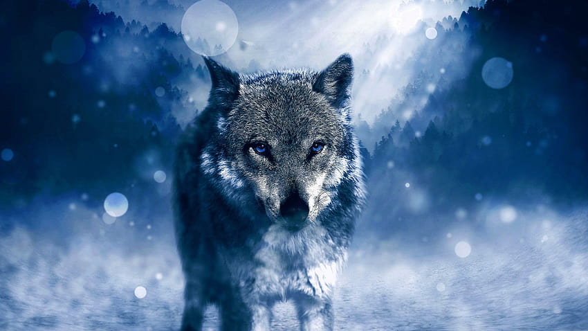 Ultra Wolf, wolf ultra HD wallpaper | Pxfuel