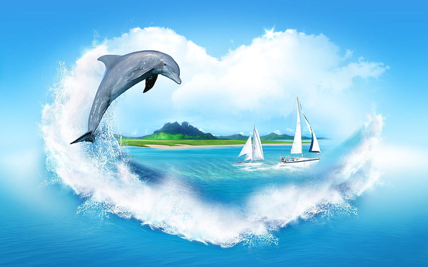 Dolphin Group, sunsets with dolphins HD wallpaper
