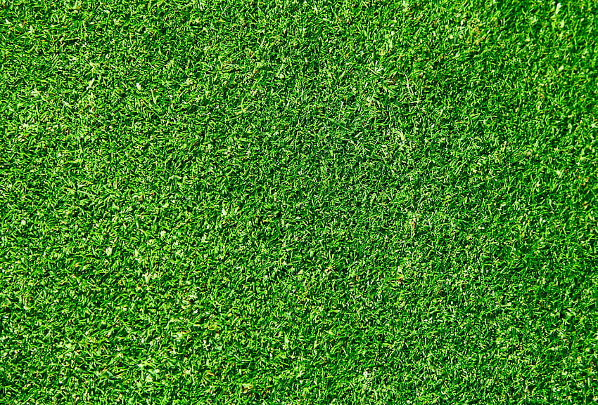 Текстура на зелена трева с 3537x2400 px HD тапет