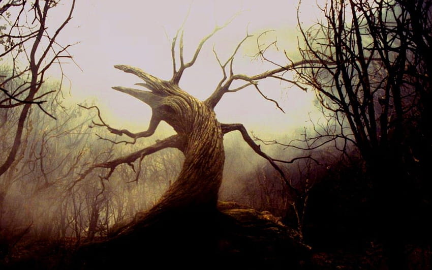 4 Legend of Sleepy Hollow ... afari, hollow trees HD wallpaper