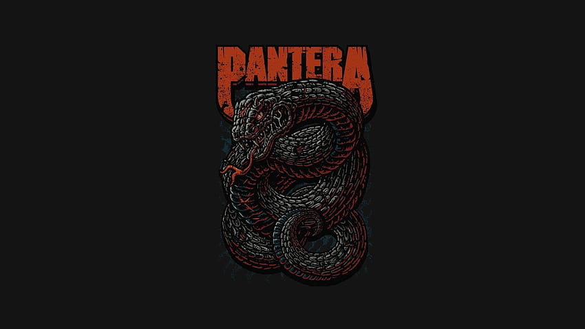 thrash metal, Pantera, music, heavy metal, snake HD wallpaper