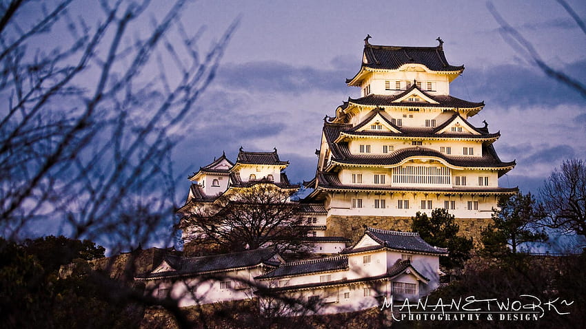 Osaka Wallpaper, Castle With Cherry Blossom, Japan Peel and Stick, Self  Adhesive, Wall Mural, Removable Wallpaper, Wall Decor - Etsy