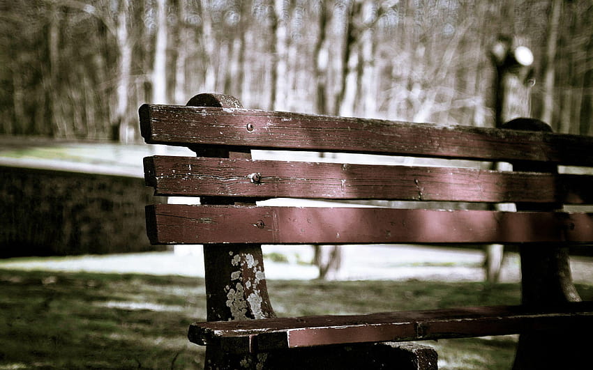 Page 40 | bench, HD wallpapers | Pxfuel
