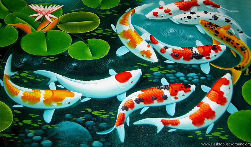 Koi Pond Dual, étang à poissons japonais Fond d'écran HD