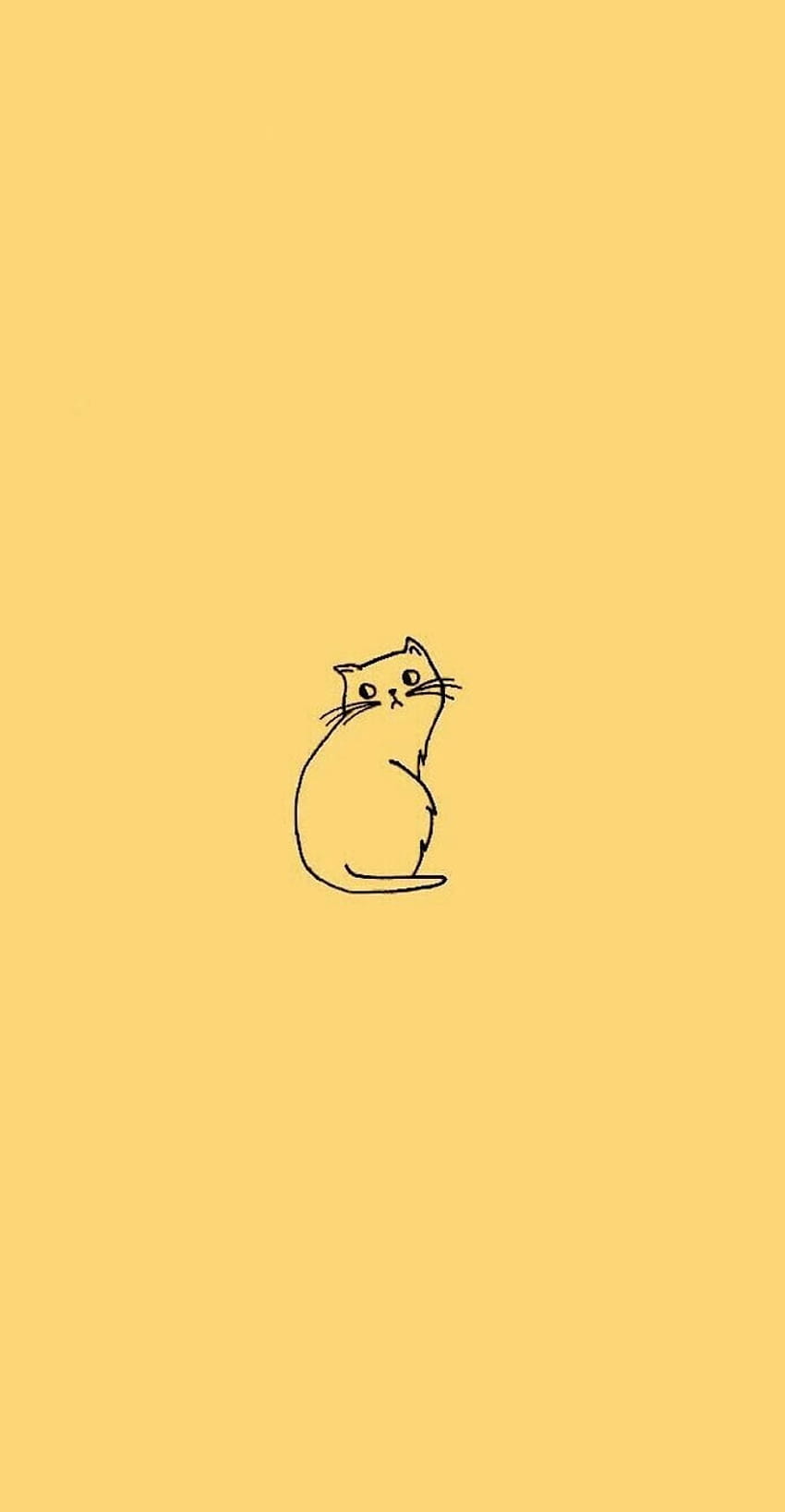 About aesthetic in by Serra Elif Akyurt, yellow cat HD phone wallpaper ...