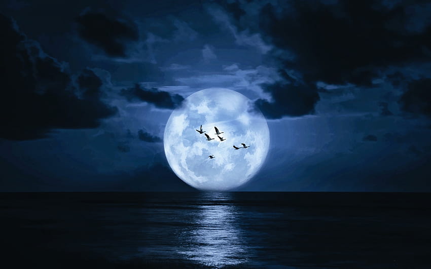 Very big moon, birds, sea, clouds, dark, moon and sea HD wallpaper