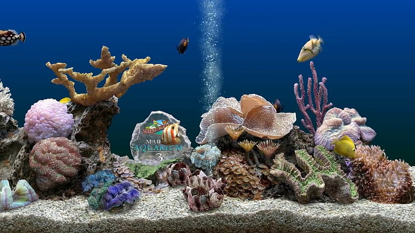 Marine Aquarium 3D Screensaver for Windows, windows underwater HD wallpaper