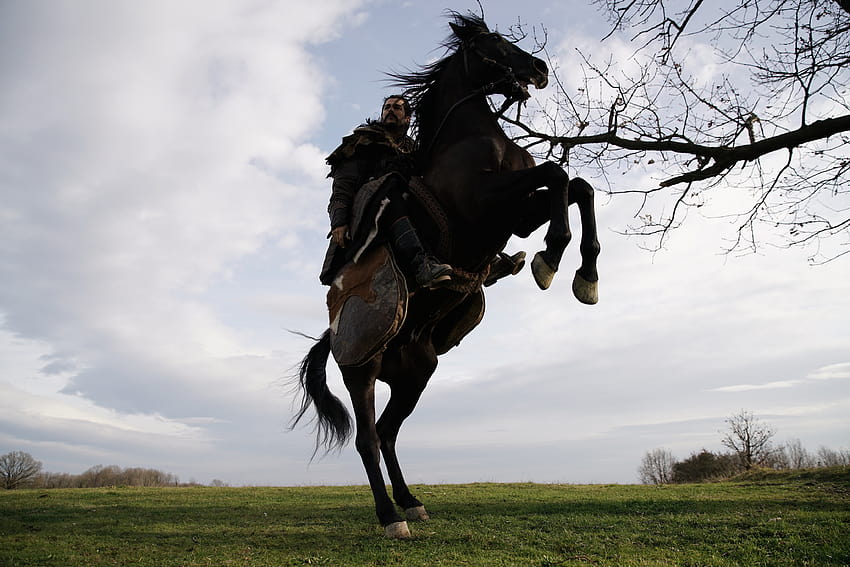 Kurulus: Osman, koń karayel Tapeta HD