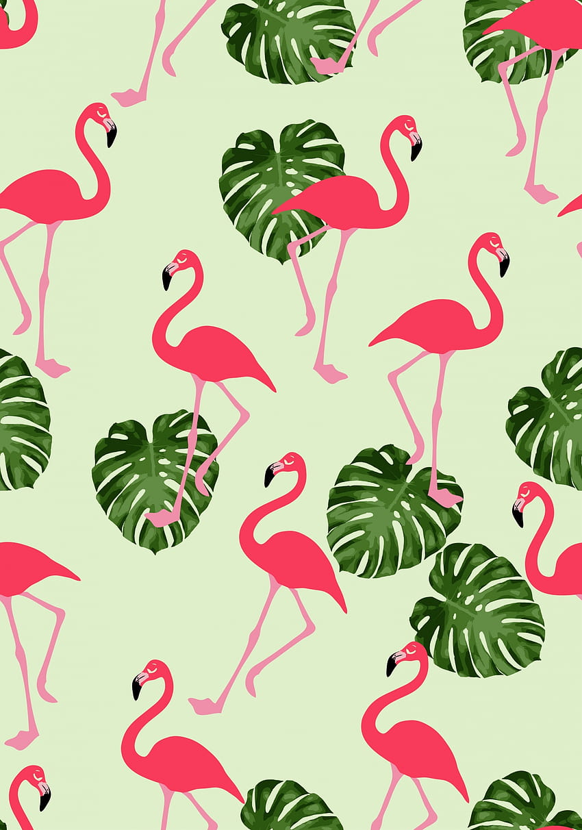 von Flamingo, Papier, Hintergrund, Muster, niedlicher Flamingo HD-Handy-Hintergrundbild
