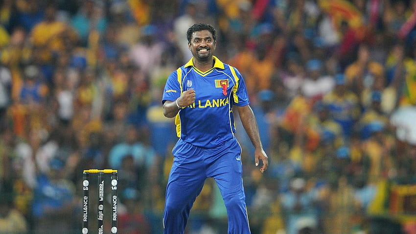 T20 World Cup 2021: There Are No Clear Favourites, Any Team Could End Up Lifting The Trophy, muttiah muralitharan HD wallpaper