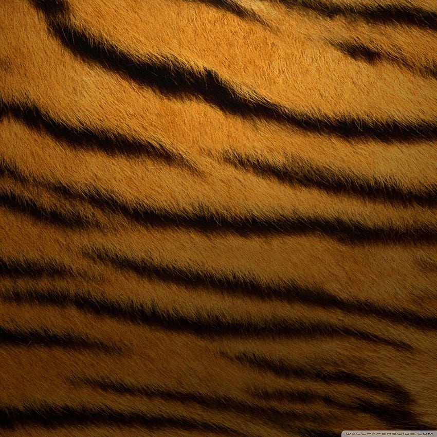 720P Free download | Tiger Fur Backgrounds for Ultra TV, galaxy skin HD ...