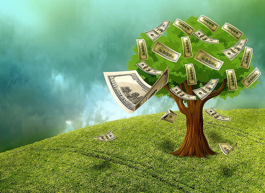 of Cash,money,wealth,assets,money plant, money tree HD wallpaper