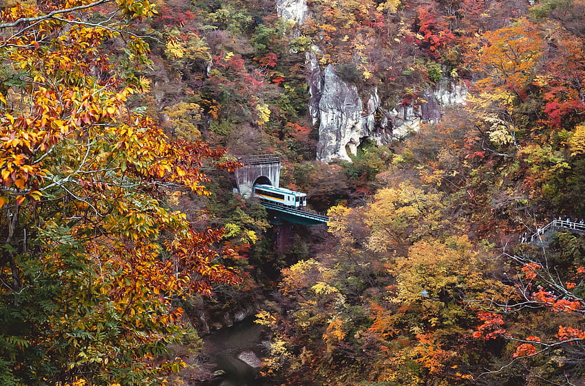 The Magic of Fall Colors, autumn america HD wallpaper