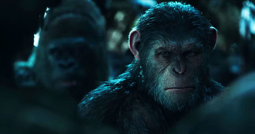 Best 3 Planet of Apes on Hip, great ape HD wallpaper