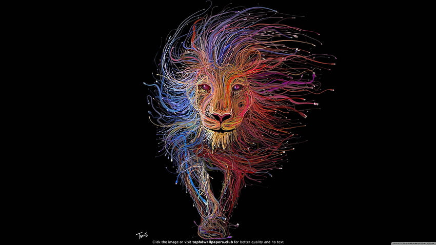 Lion King, live like a king HD wallpaper