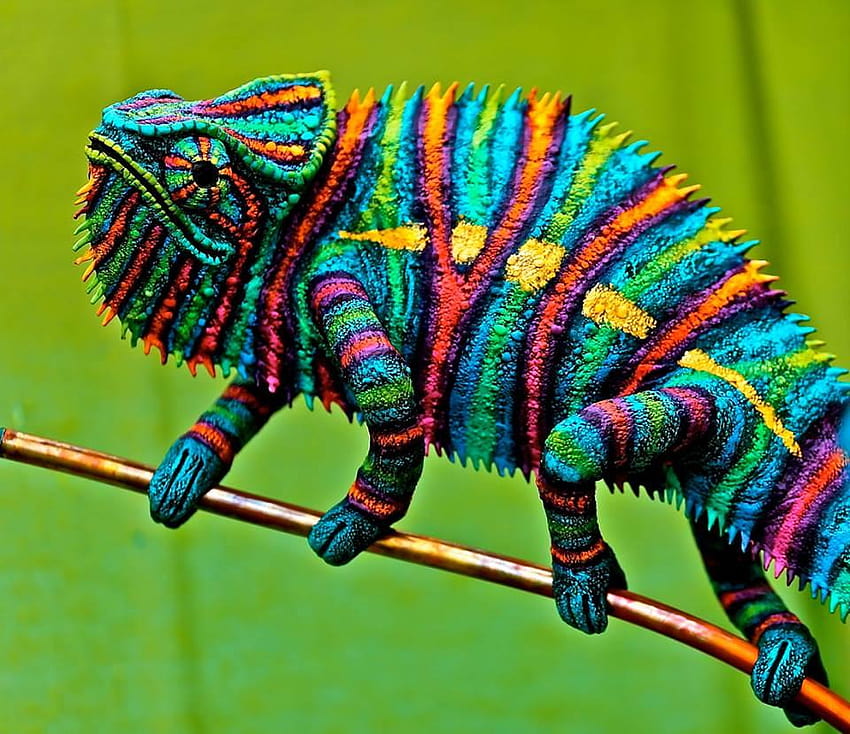 Amazing colored lizard, colorful lizard HD wallpaper | Pxfuel