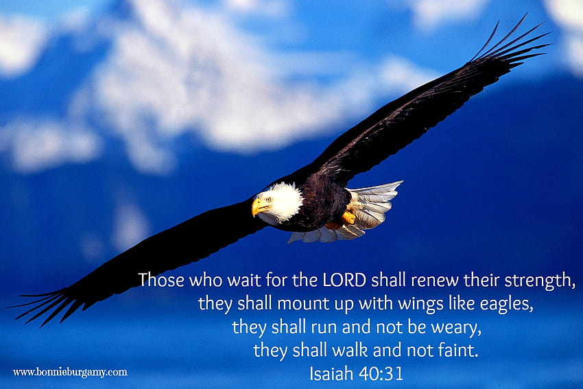Isaiah 4031  Wait Upon The LORD Wallpaper  Christian Wallpapers and  Backgrounds