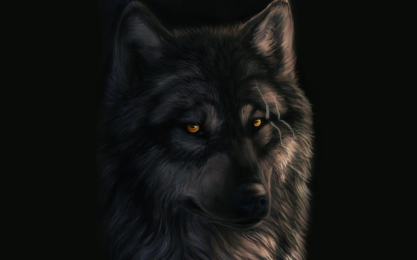 Art dark_sheyn wolf scars black backgrounds HD wallpaper | Pxfuel