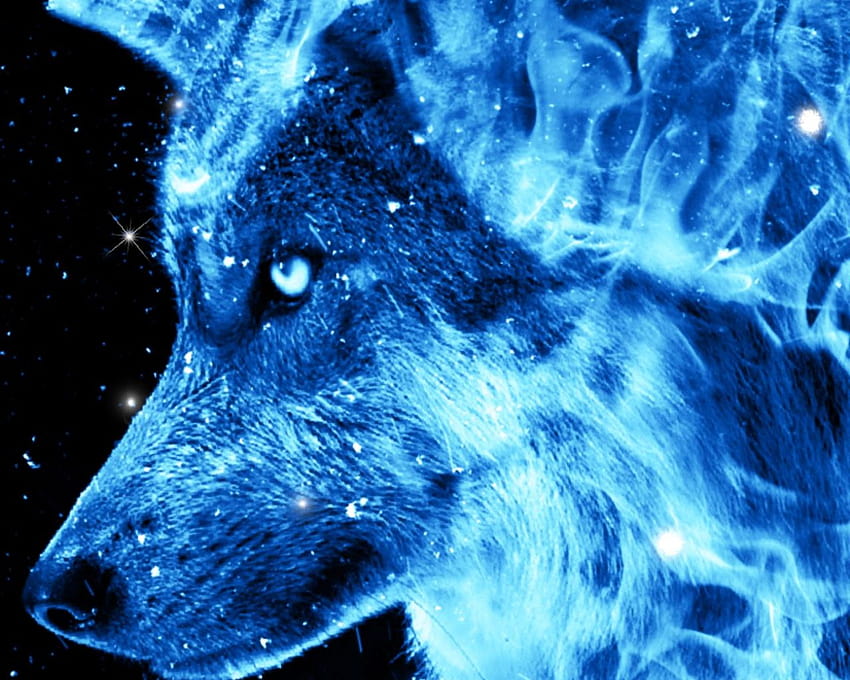Ice Fire Wolf ... アファリ、氷と火の狼 高画質の壁紙