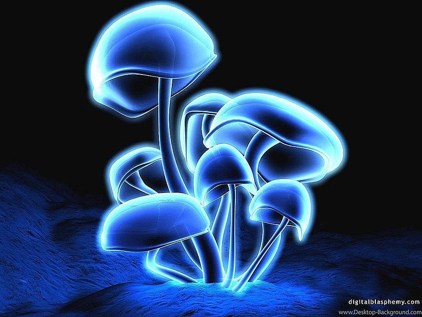 Infected Mushroom Blue, blue mushroom HD wallpaper