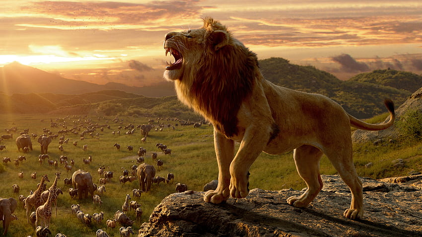 The Lion King Movie 10k, Filme, Hintergründe und Lion King 3d HD-Hintergrundbild