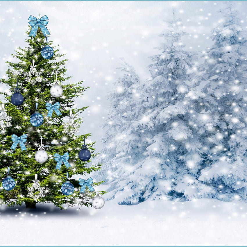Snowy Christmas Tree, christmas tree branches HD phone wallpaper