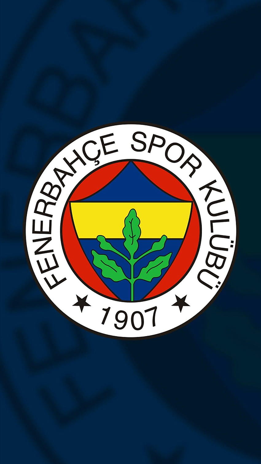 Fenerbahçe의 MuMi Gökçe HD 전화 배경 화면