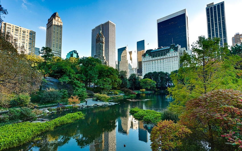 The things to do in New York, new york summer central park HD wallpaper