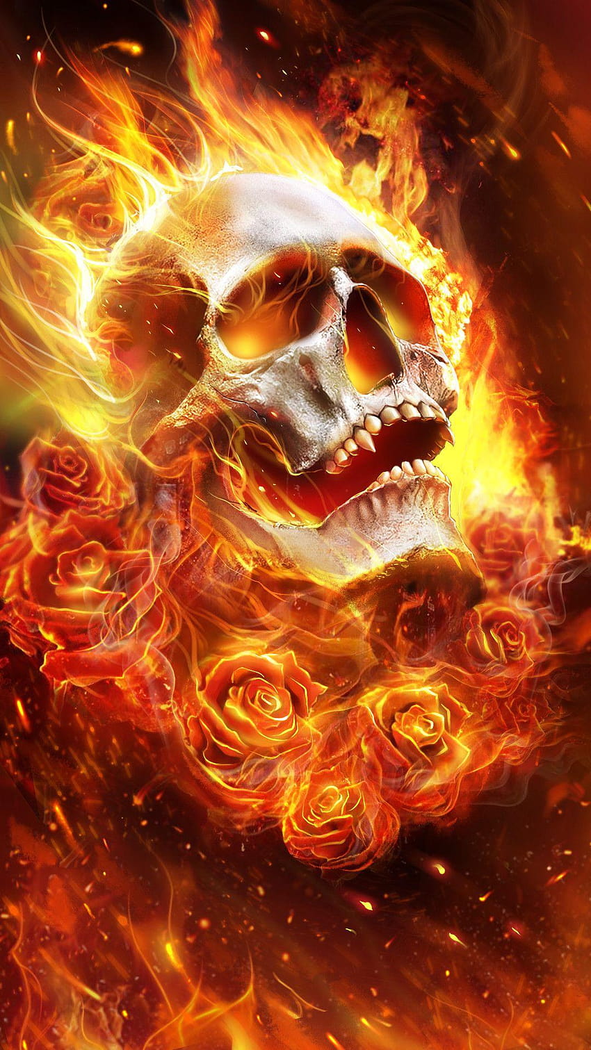 Fire Skull, skull and roses HD phone wallpaper