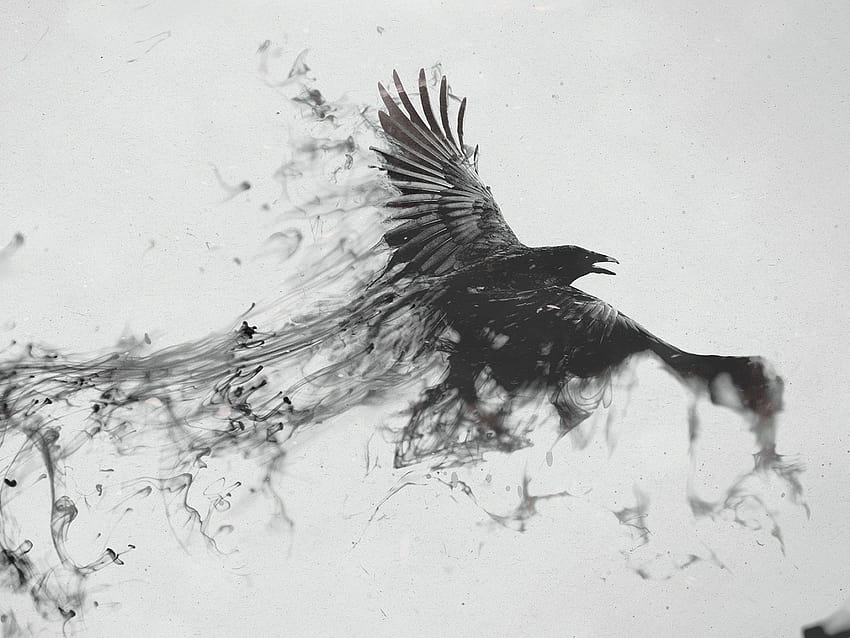 1600x1200 Raven, Bird, Flying, Smoke, Black white 1600x1200 Backgrounds, raven bird HD wallpaper