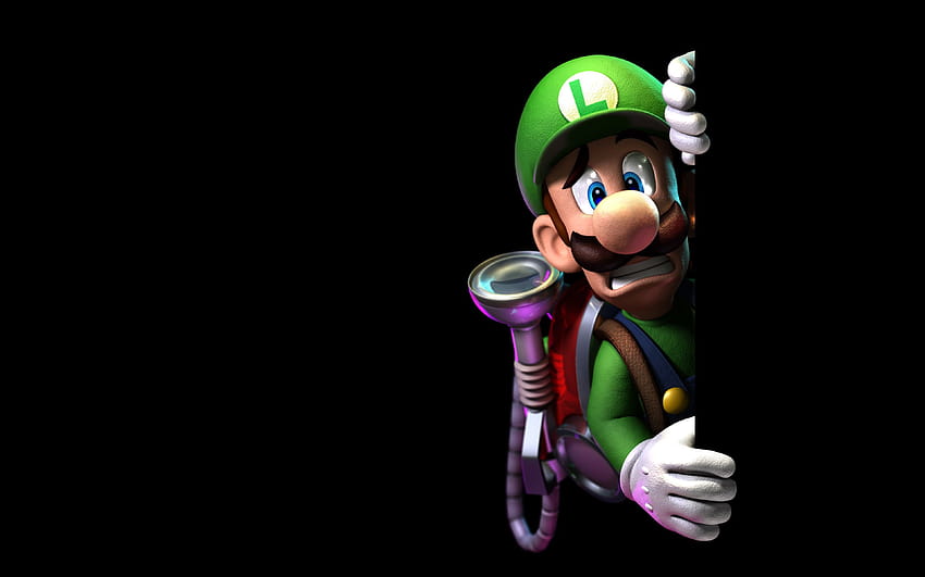 Luigi Mario Bros. วีดีโอเกมส์ พื้นหลังที่เรียบง่าย คฤหาสน์ของ Luigi: ดวงจันทร์มืด คฤหาสน์ของ Luigi คอมพิวเตอร์ nintendo วอลล์เปเปอร์ HD