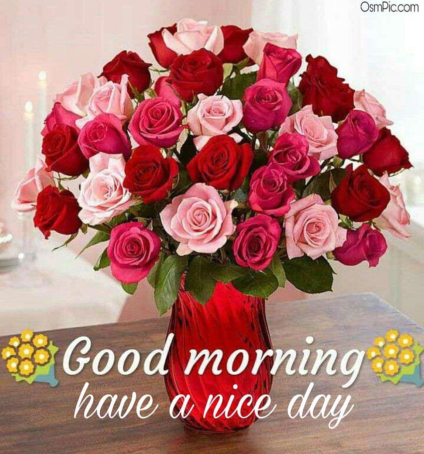 Lovely Good Morning With Red Rose Flowers, romantic good morning mobile ...