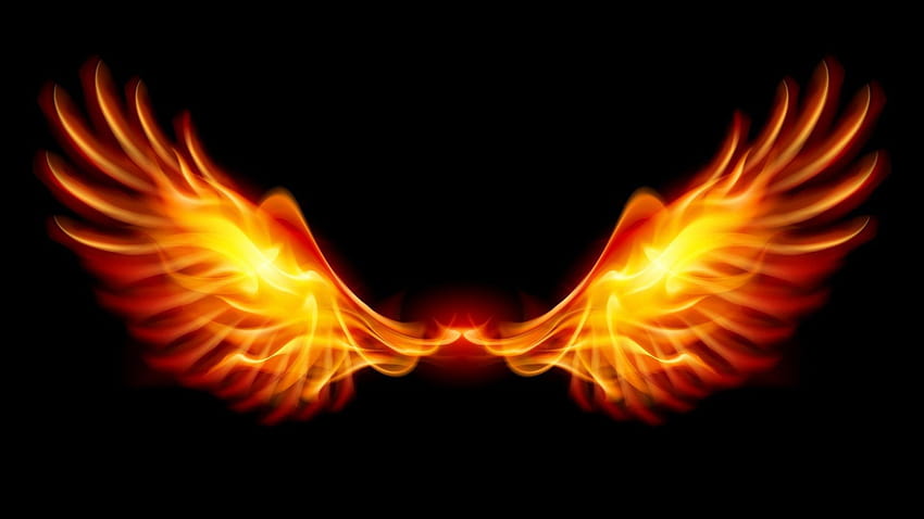 Fundos de pássaros Phoenix, asas de fogo papel de parede HD