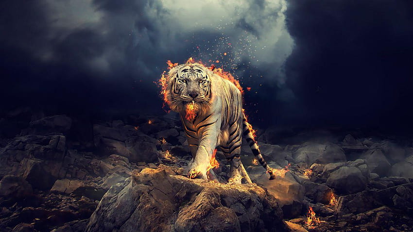 White Tiger, Fire, CGI, , Animals, fire animals HD wallpaper