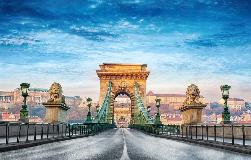 夏、都市、ぼかし、ボケ、ビュー、ハンガリー、ハンガリー、つり橋、ブダペスト、旅行、ブダペスト、セーチェーニ鎖橋、.、私の惑星、ドナウ川、2 頭のライオンが道を照らす、ハンガリーの夏 高画質の壁紙