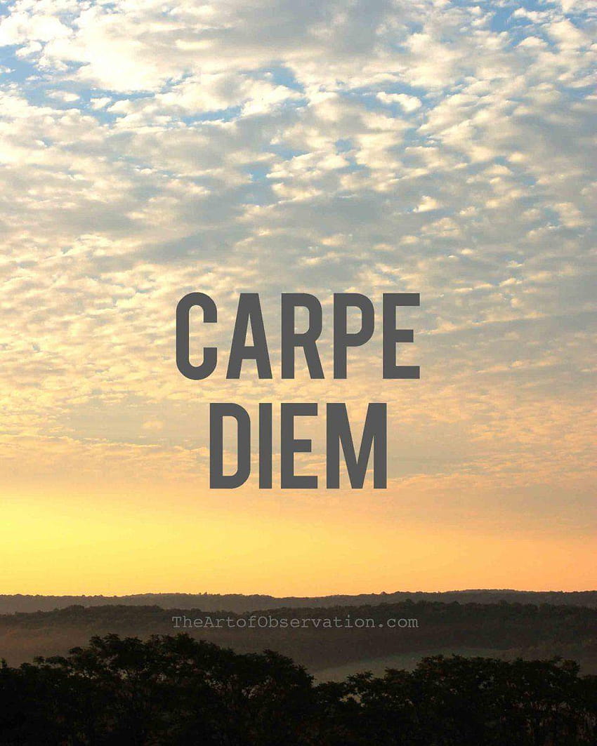 Significado do termo Carpe Diem HD phone wallpaper