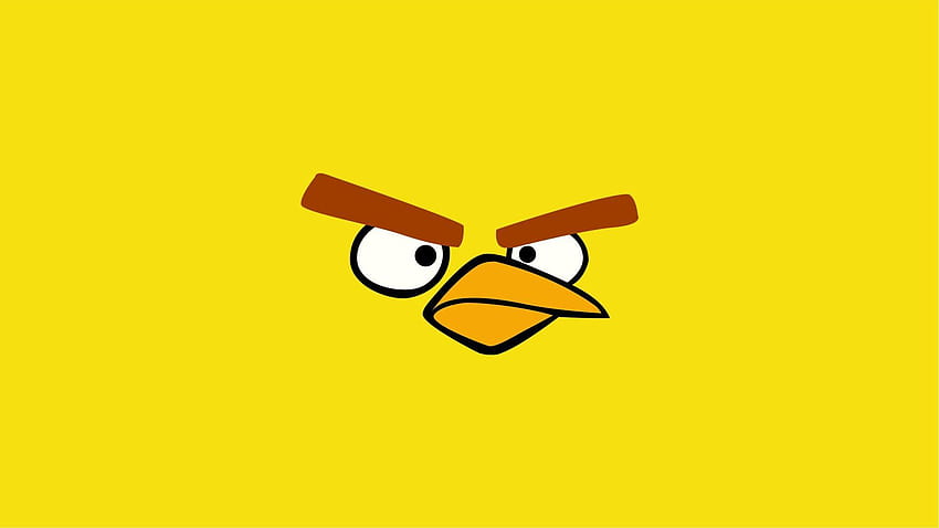 Uccello giallo, uccello arrabbiato Sfondo HD
