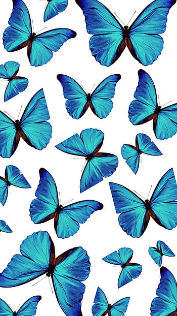 Butterfly Live Wallpaper  free download
