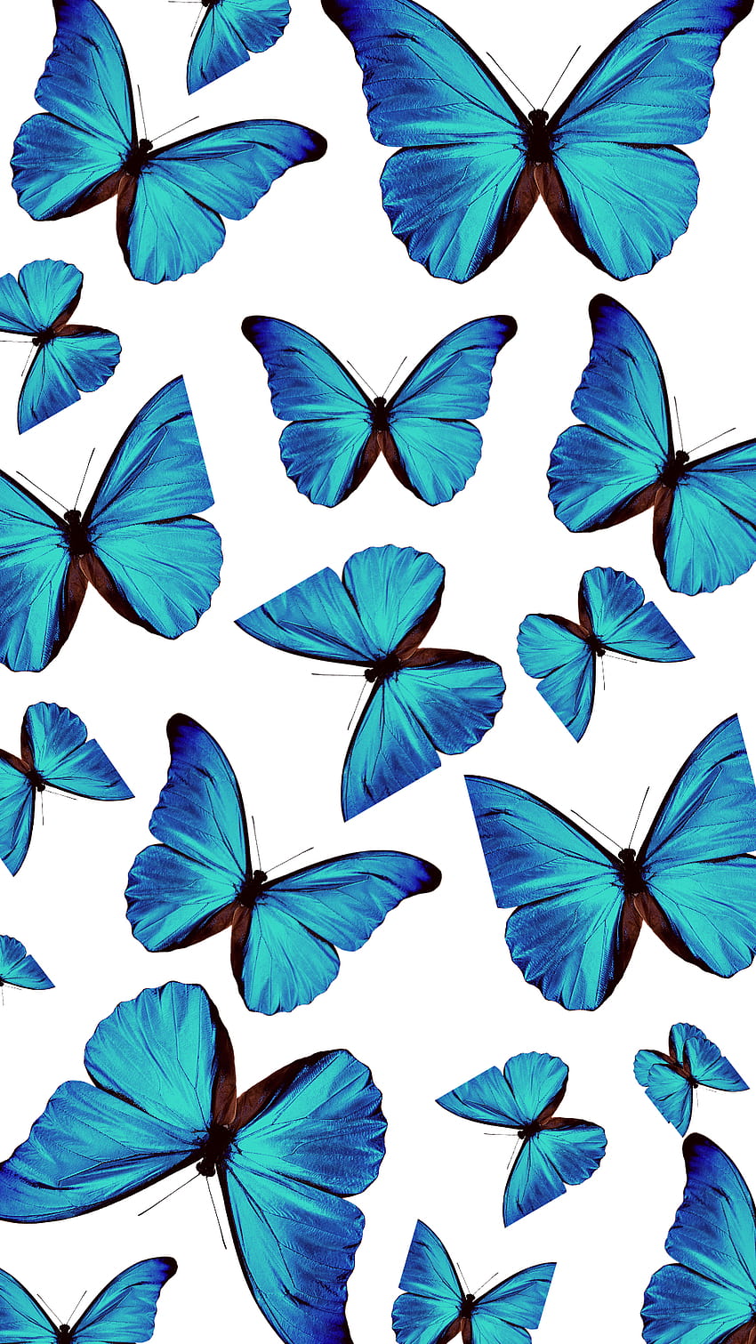 Light Blue Butterfly Aesthetic HD phone wallpaper | Pxfuel