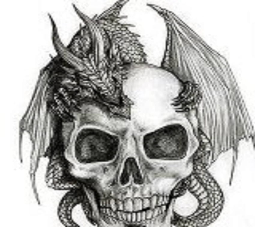 Premium Vector  Komodo dragon skull head vector illustration