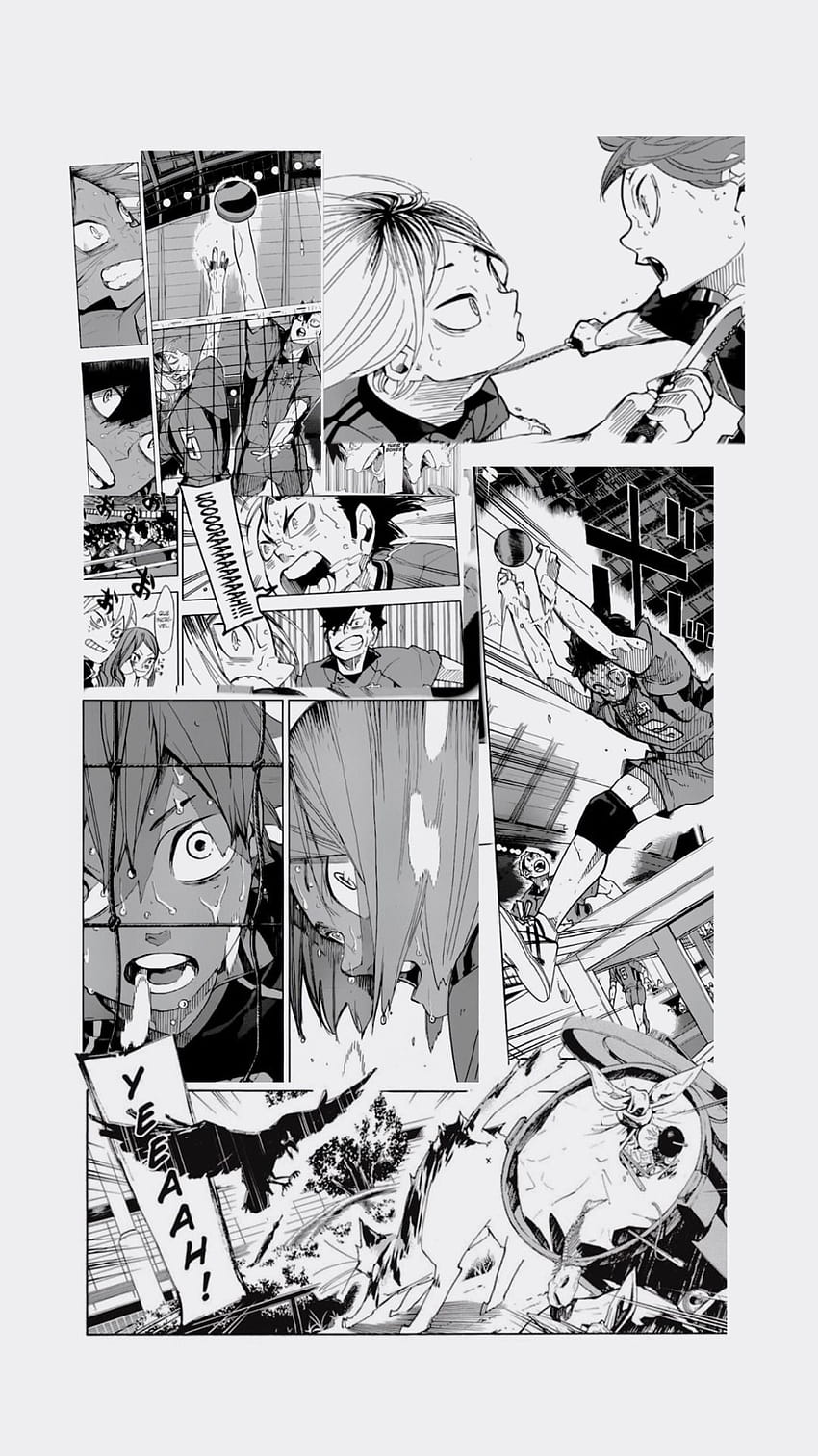 220 idées de panneaux de manga Haikyuu, panneaux de manga Fond d'écran de téléphone HD