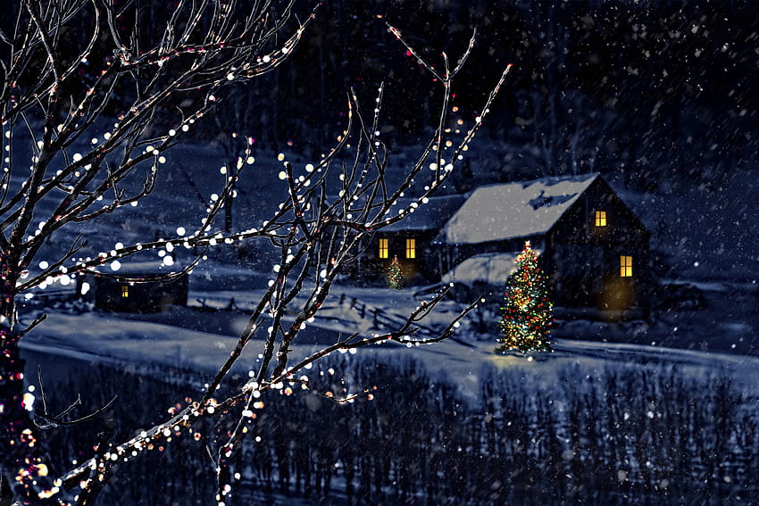 冬、家、クリスマス、雪、雪片、夜、クリスマスツリー、枝、自然、5616x3744、クリスマス 高画質の壁紙