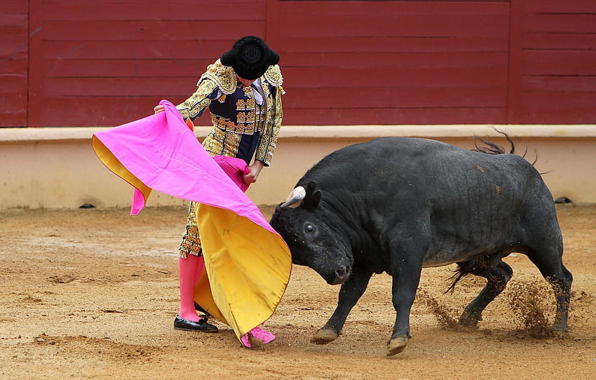 bull, Matador, Korea , section мужчины, bullfighter HD wallpaper