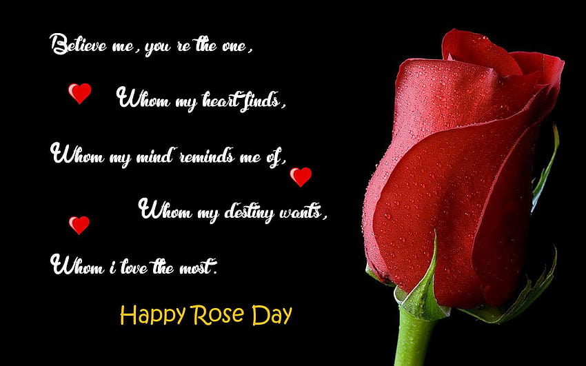 Happy Rose Day Love – Quotes & Wishes for Valentine's Week HD wallpaper
