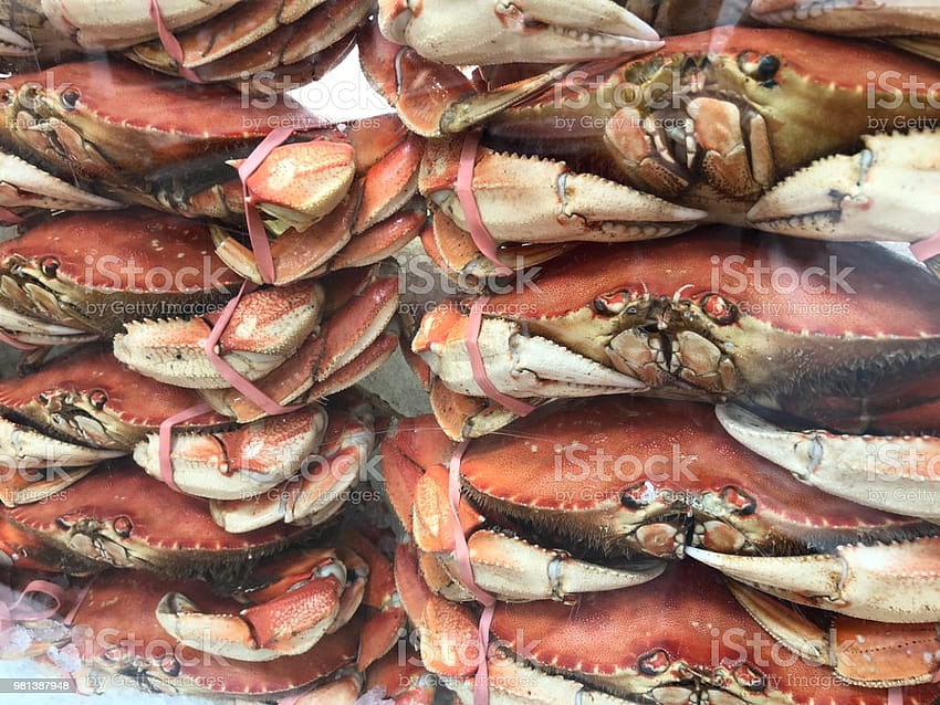 King Crab Legs Stock HD wallpaper