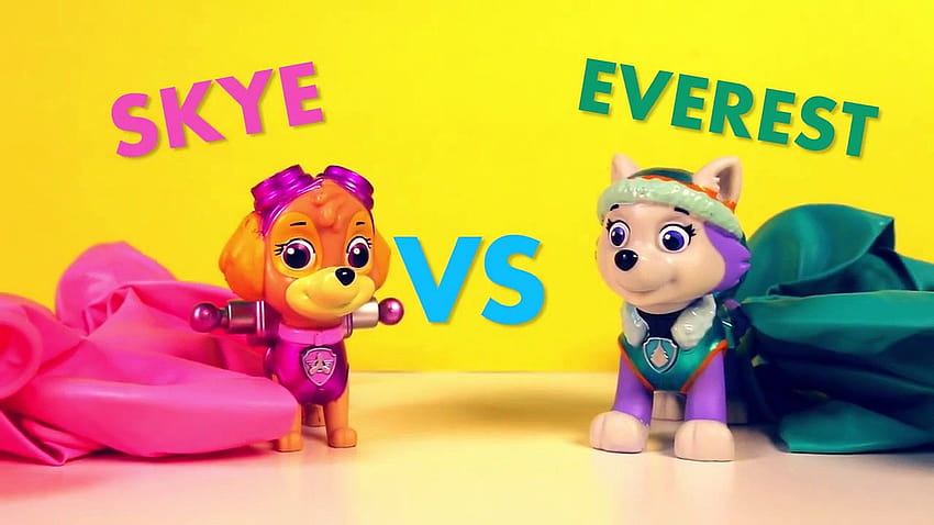 Skye VS Everest in the Paw Patrol Balloon Color Counting Challenge, skye and everest HD wallpaper