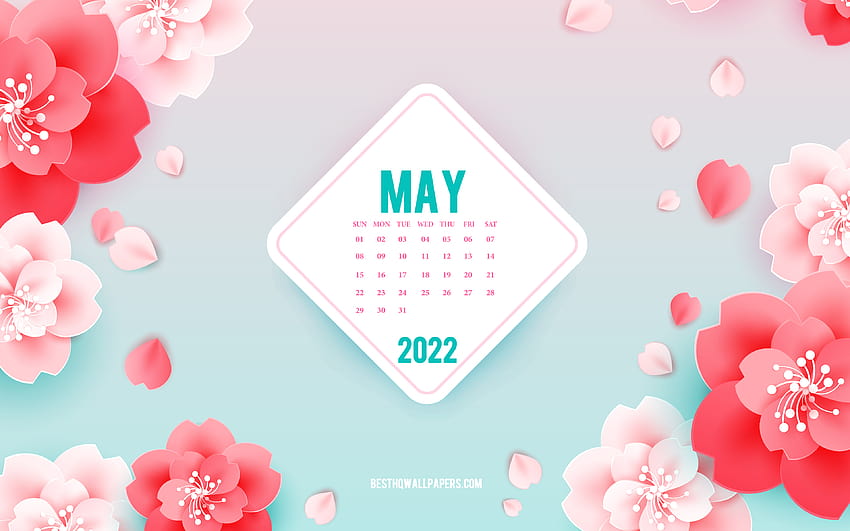 2022 May Calendar, pink flowers, May, spring art, 2022 spring calendars, spring backgrounds with flowers, May 2022 Calendar, paper flowers with resolution 3840x2400. High Quality, spring 2022 HD wallpaper