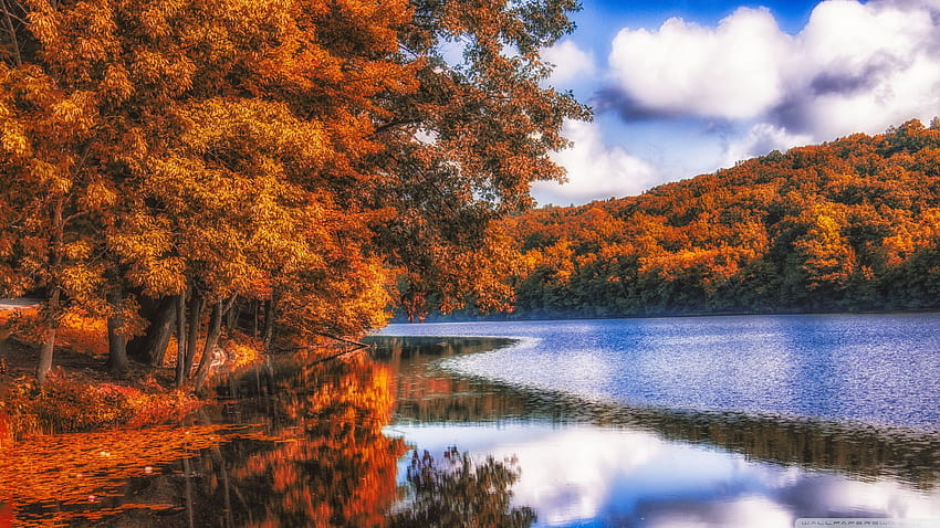 Lake, Forest, Autumn Ultra Backgrounds for U TV : & UltraWide & Laptop : Tablet : Smartphone, sombre autumn scenes HD wallpaper